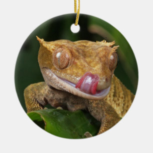 Crested Gecko Lizard Keramik Ornament