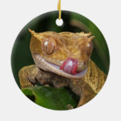 Crested Gecko Lizard Keramik Ornament (Hinten)