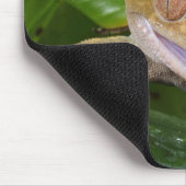 Crested Gecko Mousepad (Ecke)