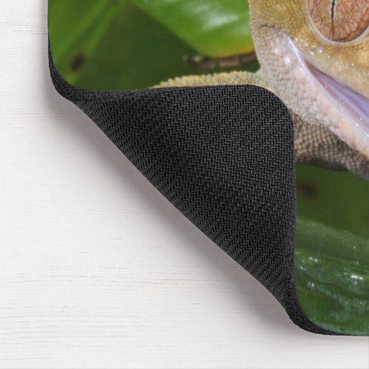 Crested Gecko Mousepad (Ecke)