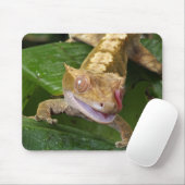Crested Gecko Mousepad (Mit Mouse)