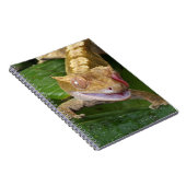 Crested Gecko Notizblock (Rechte Seite)