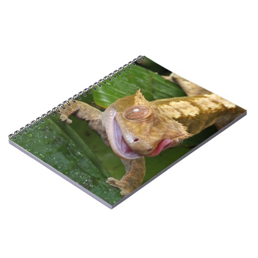 Crested Gecko Notizblock (Linke Seite)