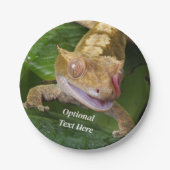 Crested Gecko Pappteller (Vorderseite)