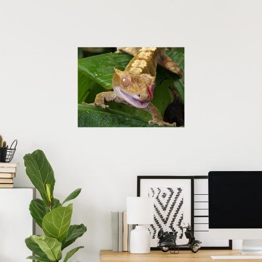 Crested Gecko Poster (Heimbüro)