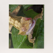 Crested Gecko Puzzle (Vertikal)