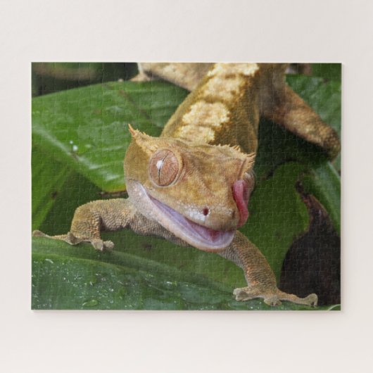 Crested Gecko Puzzle (Horizontal)