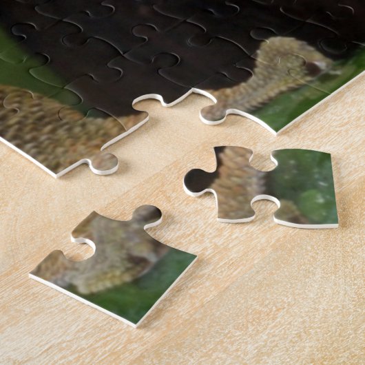 Crested Gecko Puzzle (Seite)