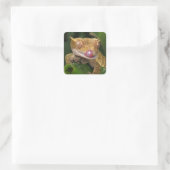 Crested Gecko Quadratischer Aufkleber (Tasche)