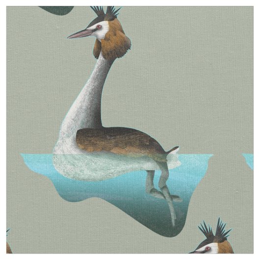 Crested Grebe Stoff (Nahaufnahme)