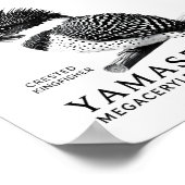 Crested Kingfisher Black & White Art Print Poster (Ecke)