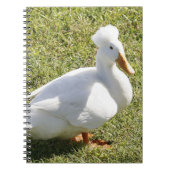 Crested Pekin Duck Spiral Foto Notebook Notizblock (Vorderseite)