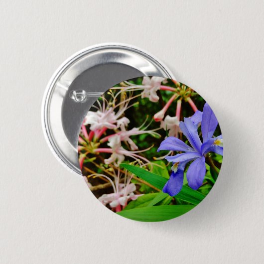 Crested Zwarf Iris Button (Vorne & Hinten)