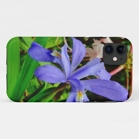 Crested Zwarf Iris Case-Mate iPhone Hülle (Rückseite (Horizontal))