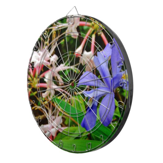 Crested Zwarf Iris Dartscheibe (Vorderseite rechts)