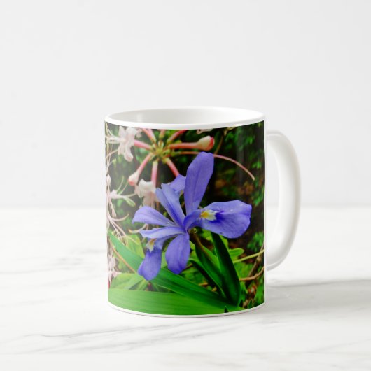 Crested Zwarf Iris Kaffeetasse (VorderseiteRechts)
