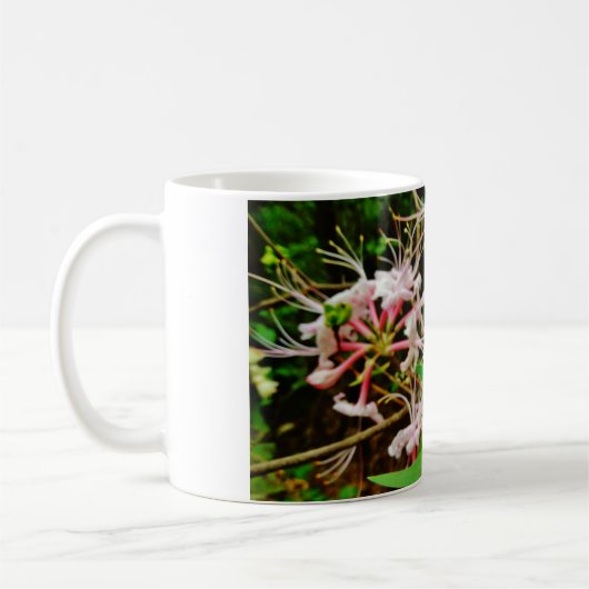 Crested Zwarf Iris Kaffeetasse (Links)