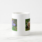 Crested Zwarf Iris Kaffeetasse (Mittel)