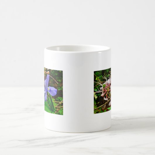 Crested Zwarf Iris Kaffeetasse (Mittel)