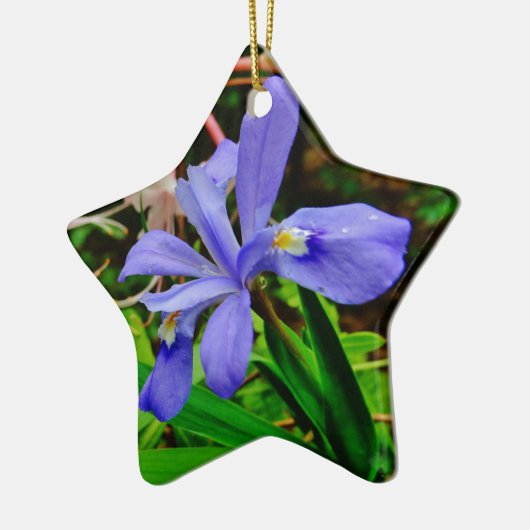 Crested Zwarf Iris Keramik Ornament (Links)