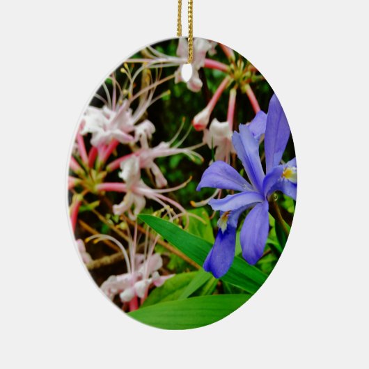 Crested Zwarf Iris Keramikornament (Rechts)