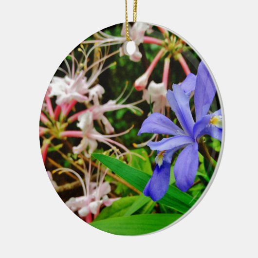 Crested Zwarf Iris Keramikornament (Links)