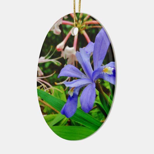 Crested Zwarf Iris Keramikornament (Links)
