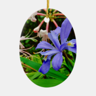 Crested Zwarf Iris Keramikornament