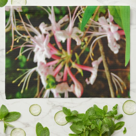 Crested Zwarf Iris Küchentuch (Gefaltet)