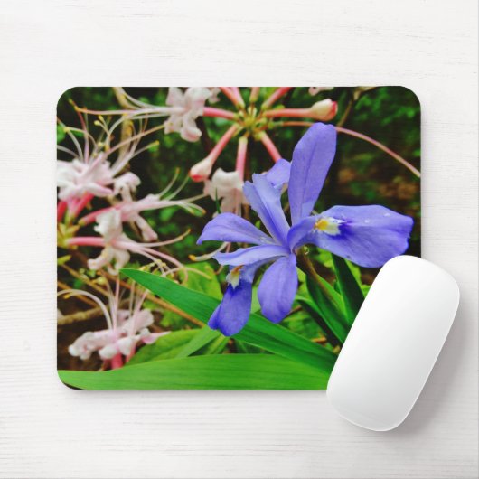 Crested Zwarf Iris Mousepad (Mit Mouse)