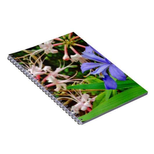 Crested Zwarf Iris Notizblock (Rechte Seite)