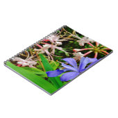 Crested Zwarf Iris Notizblock (Linke Seite)