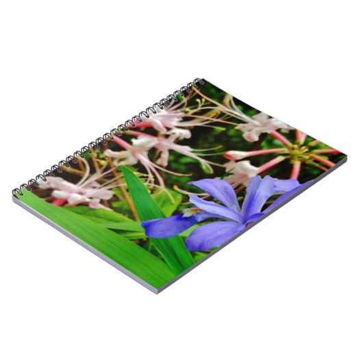 Crested Zwarf Iris Notizblock (Linke Seite)