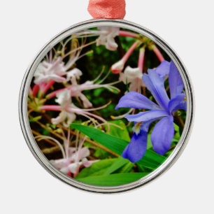 Crested Zwarf Iris Ornament Aus Metall