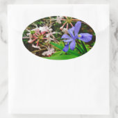 Crested Zwarf Iris Ovaler Aufkleber (Tasche)