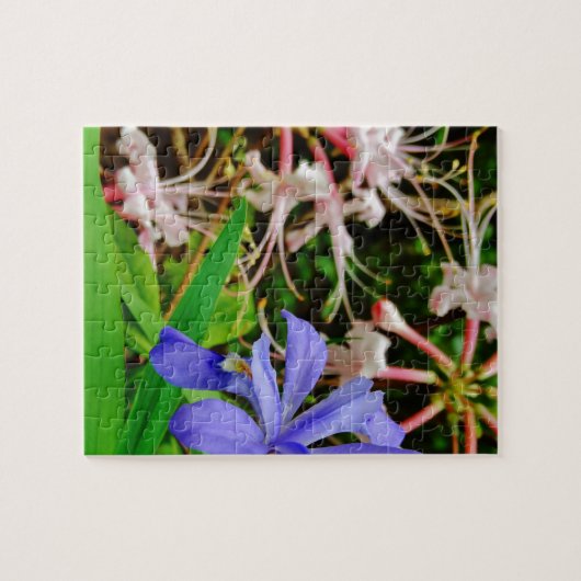 Crested Zwarf Iris Puzzle (Horizontal)