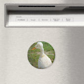 Crestie Magnet (In Situ (Geschirrspüler))