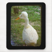 Crestie Mousepad (Vorne)