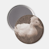 Crestie the Crested Duck Magnet (Vorderseite/Rückseite)