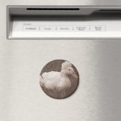 Crestie the Crested Duck Magnet (In Situ (Geschirrspüler))