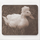 Crestie the Crested Duck Mousepad (Vorne)
