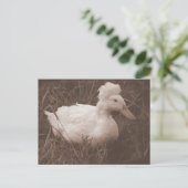 Crestie the Crested Duck Postkarte (Stehend Vorderseite)