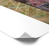 Crew33 Poster (Ecke)