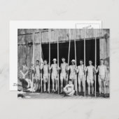 Crew, 1916 postkarte (Vorne/Hinten)