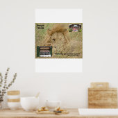 Crew 24 Kenia o6 Poster (Küche)