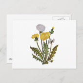 Crewel bestickt Golden Dandy Lions Postkarte (Vorne/Hinten)