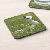 Cria in den Butterblumeen Untersetzer (Linke Seite)