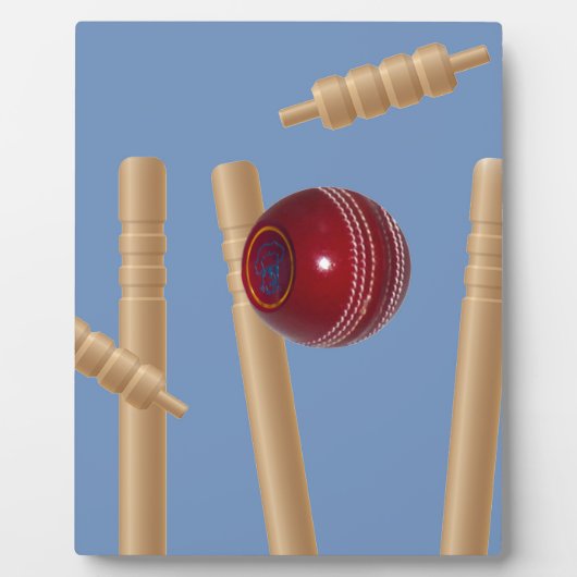 Cricket Ball und Stumps, Fotoplatte (Vorderseite)