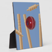 Cricket Ball und Stumps, Fotoplatte (Seite)