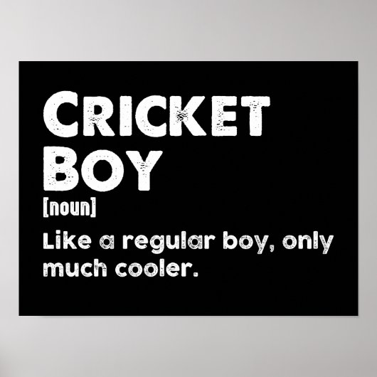 Cricket Boy Funny Definition Cricket Lover Poster (Vorne)